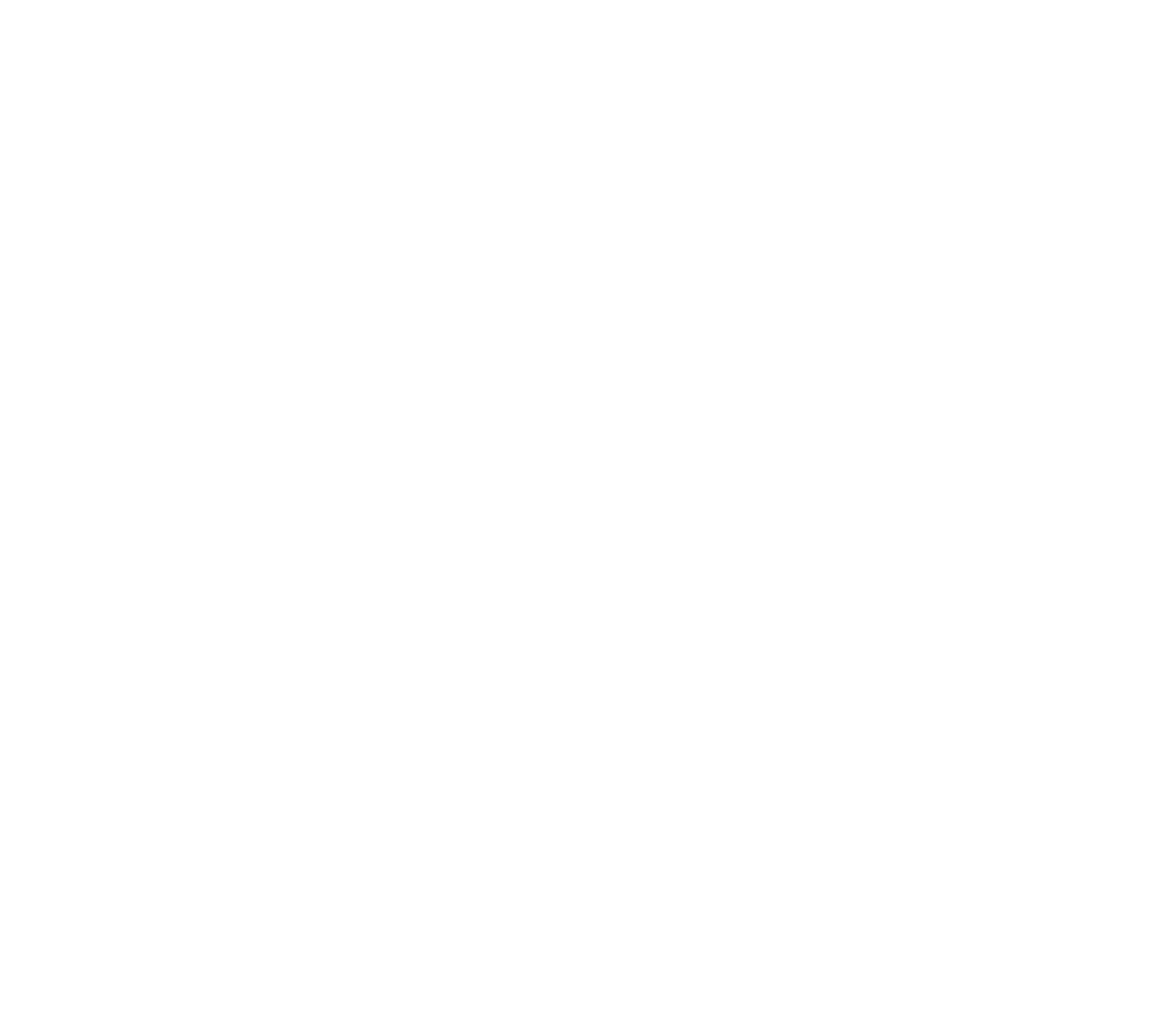 Mad Monkey Electrical